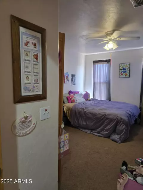 4207 N Santa Fe Ave, Douglas, AZ 85607 photo 9