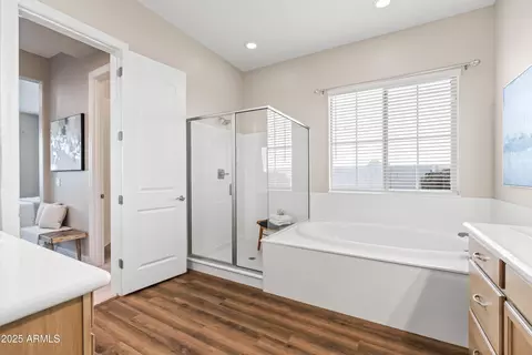 Bath - 3620 E Austin Dr, Gilbert, AZ 85296 photo 3 of 6