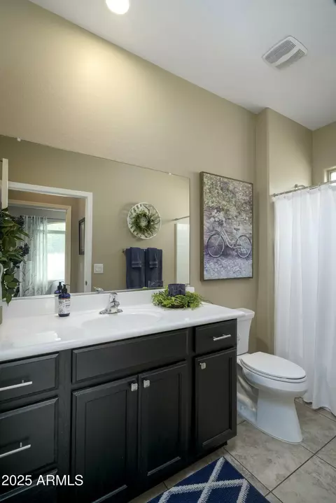 Bath - 10960 E Monte Ave E #239, Mesa, AZ 85209 photo 2 of 2