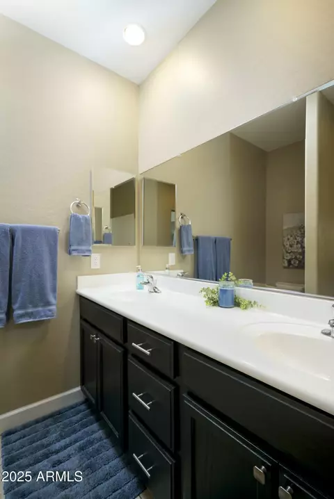 Bath - 10960 E Monte Ave E #239, Mesa, AZ 85209 photo 1 of 2