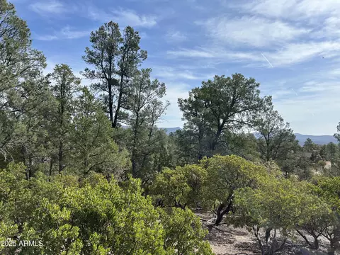 1703 E Redbud Ct #878, Payson, AZ 85541 photo 7