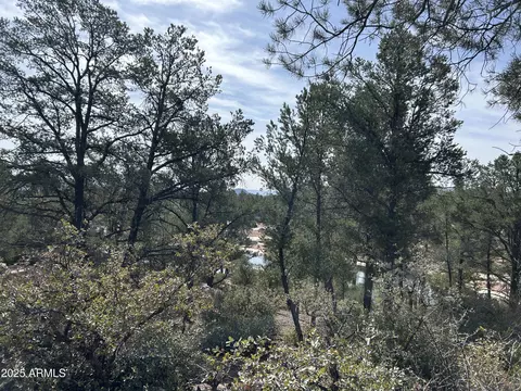 1703 E Redbud Ct #878, Payson, AZ 85541 photo 14
