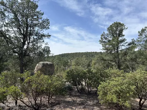 1703 E Redbud Ct #878, Payson, AZ 85541 photo 5
