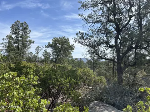 1703 E Redbud Ct #878, Payson, AZ 85541 photo 12