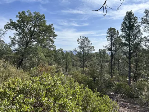 1703 E Redbud Ct #878, Payson, AZ 85541 photo 13