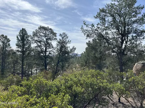 1703 E Redbud Ct #878, Payson, AZ 85541 photo 8