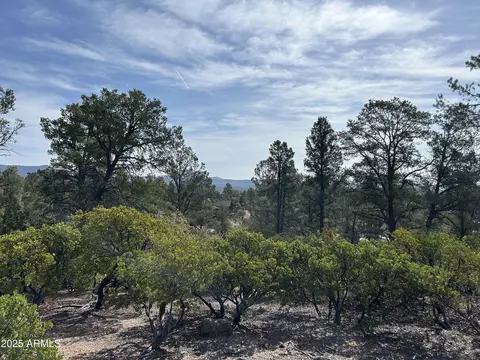 1703 E Redbud Ct #878, Payson, AZ 85541 photo 4