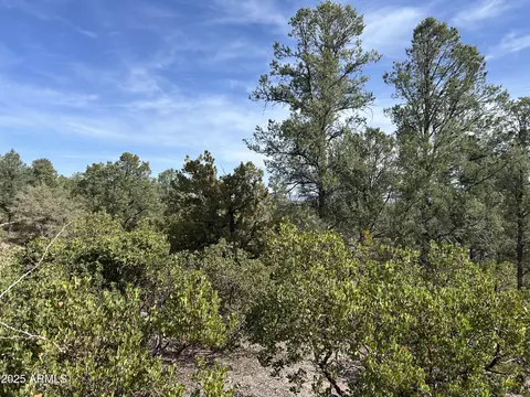 1703 E Redbud Ct #878, Payson, AZ 85541 photo 9