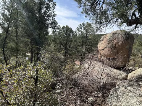1703 E Redbud Ct #878, Payson, AZ 85541 photo 10