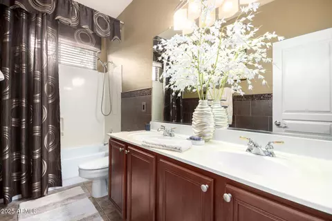 Bath - 9908 E Medina Ave, Mesa, AZ 85209 photo 3 of 3