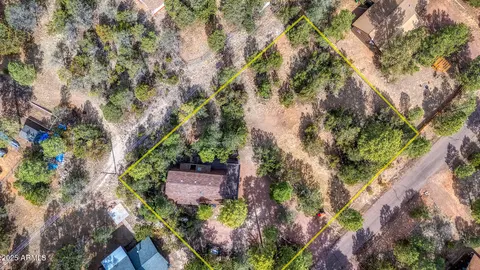 View/Area - 3334 Whispering Pine Dr, Overgaard, AZ 85933 photo 1 of 4