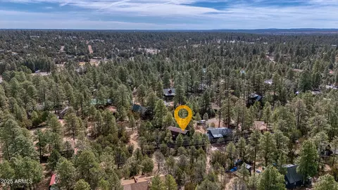 View/Area - 3334 Whispering Pine Dr, Overgaard, AZ 85933 photo 3 of 4