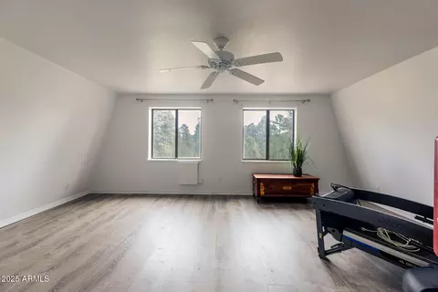 Other - 3334 Whispering Pine Dr, Overgaard, AZ 85933 photo 12 of 17