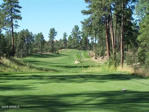2900 E Lions Pocket -- #271, Payson, AZ 85541 photo 5