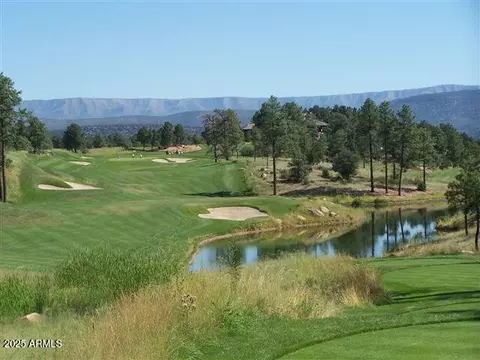 2900 E Lions Pocket -- #271, Payson, AZ 85541 photo 4