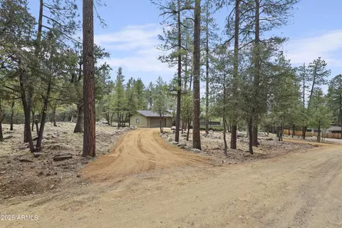 Other - 4333 N Mistletoe Drive Dr, Pine, AZ 85544 photo 7 of 12
