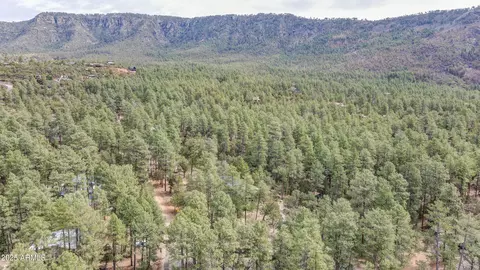 Other - 4333 N Mistletoe Drive Dr, Pine, AZ 85544 photo 10 of 12