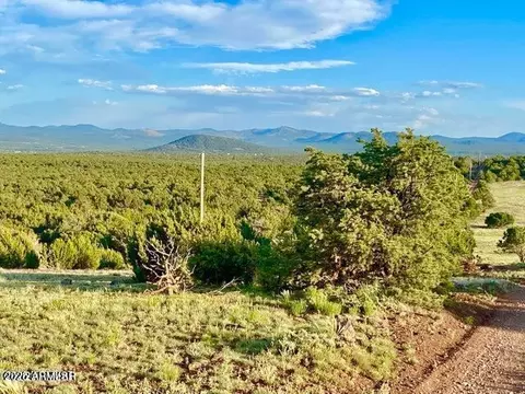 tbd N3208 Lots C D 1962 Acres -- #-, Vernon, AZ 85940