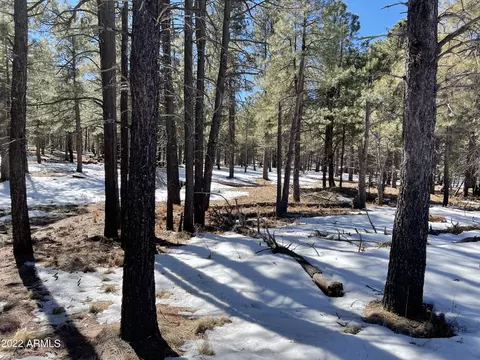 2692 Az-260 -- #895, Forest Lakes, AZ 85931