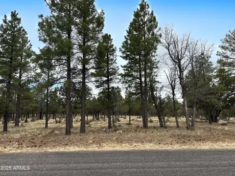 3431 Durango Dr #205, Happy Jack, AZ 86024