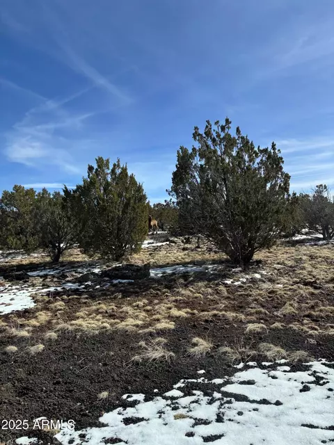 1632 Vernon Mcnary Rd #20, Vernon, AZ 85940