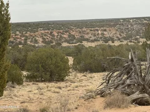 lot13 Witch Well Rnch #13, Saint Johns, AZ 85936