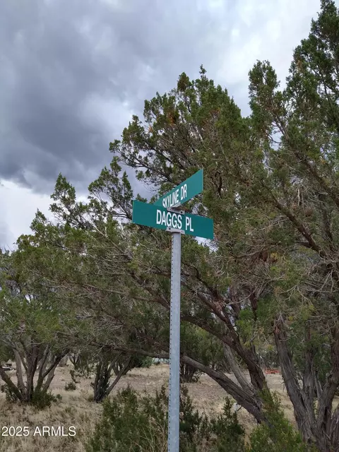 1827 Daggs Pl #29, Show Low, AZ 85901