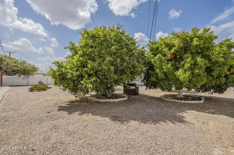 5317 E Baltimore St, Mesa, AZ 85205 photo 29