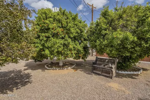 5317 E Baltimore St, Mesa, AZ 85205 photo 28