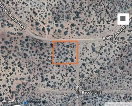 0 E Bridge Canyon Pkwy #4358, Seligman, AZ 86337