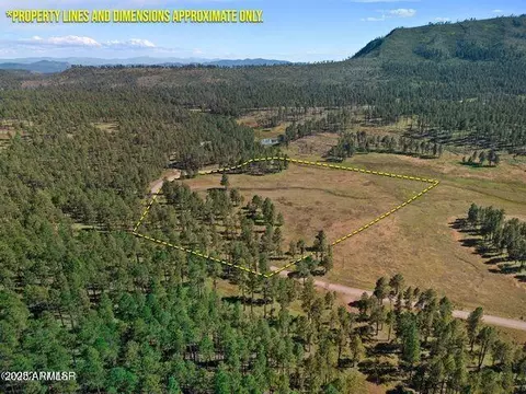 1 Forest Road 26 -- # A, Alpine, AZ 85920