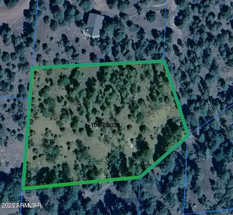 0 Lot 38 Noble Mountain Ests #38, Nutrioso, AZ 85932