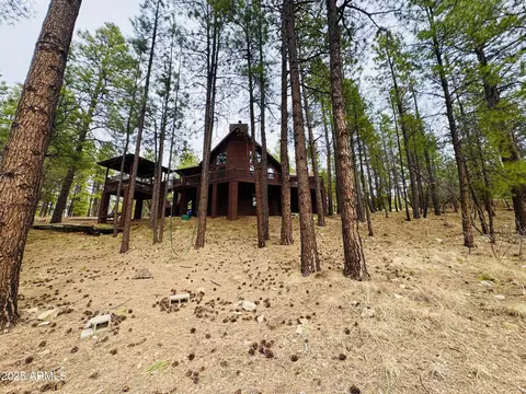 Other - 3110 Apache Dr, Happy Jack, AZ 86024 photo 4 of 15