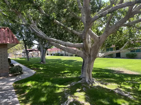 Exterior - 141 N Date -- #7, Mesa, AZ 85201 photo 4 of 6