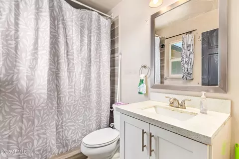 Bath - 1302 E Forge Ave, Mesa, AZ 85204 photo 3 of 3