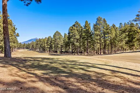 4220 S Lariat Loop, Flagstaff, AZ 86005 photo 47