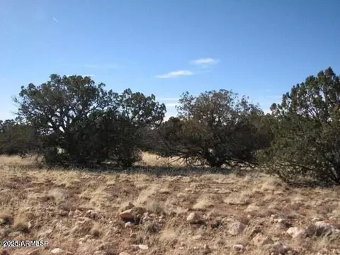 6251 Dry Pasture Run #LOT 216, Heber, AZ 85928