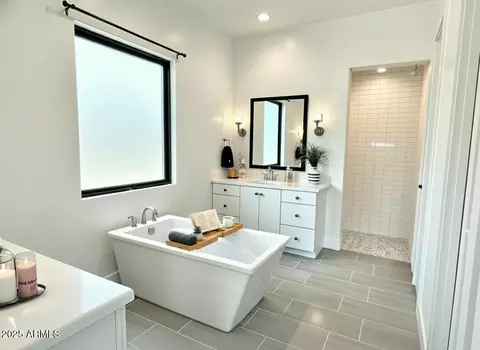 Bath - 2725 E Derringer Ct, Gilbert, AZ 85297 photo 3 of 8