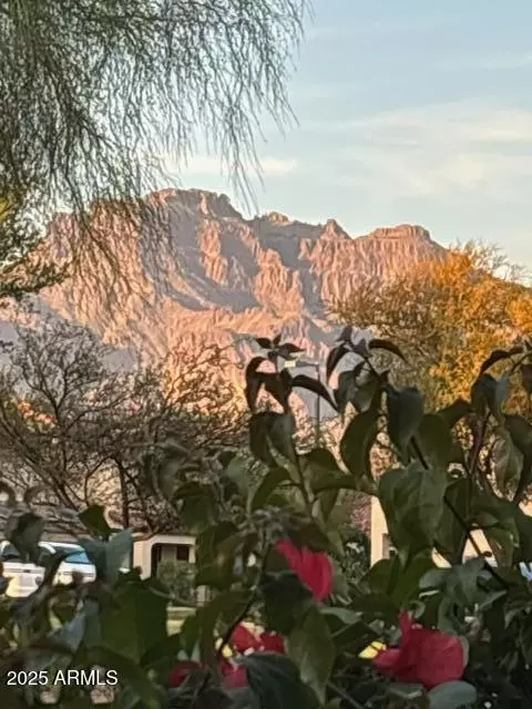 Other - 2181 E 27th Ave, Apache Junction, AZ 85119 photo 2 of 15