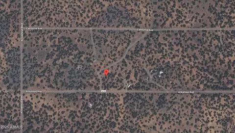 17 County Road 8056 -- #377, Concho, AZ 85924