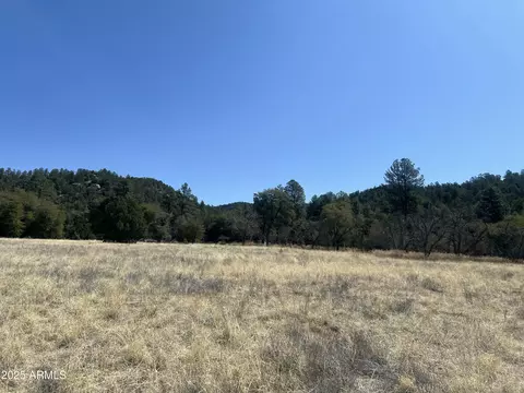 230 E Cline Xing #C1-B, Young, AZ 85554