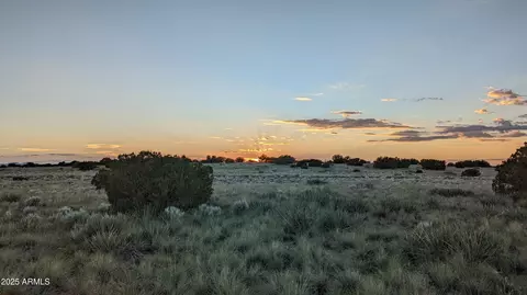 202 County Road N6451 -- #316, Saint Johns, AZ 85936