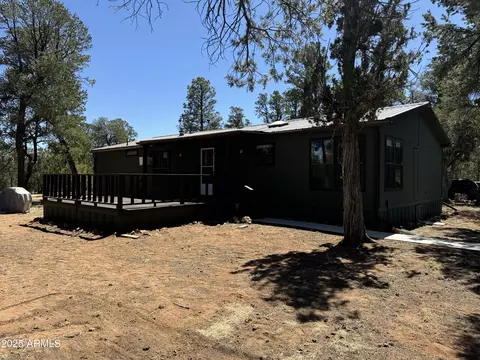 3050 Chevelon Rd, Overgaard, AZ 85933 photo 34