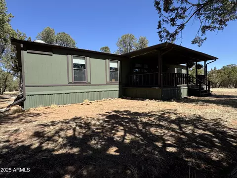 3050 Chevelon Rd, Overgaard, AZ 85933 photo 3