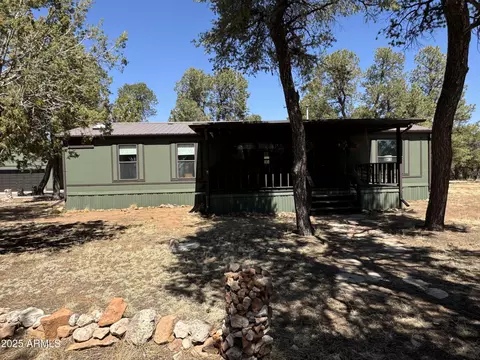 3050 Chevelon Rd, Overgaard, AZ 85933 photo 40