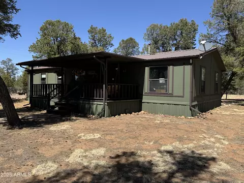 3050 Chevelon Rd, Overgaard, AZ 85933 photo 41