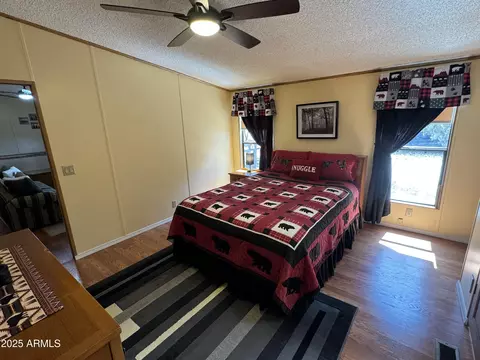 3050 Chevelon Rd, Overgaard, AZ 85933 photo 14
