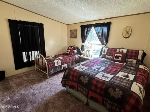 3050 Chevelon Rd, Overgaard, AZ 85933 photo 17