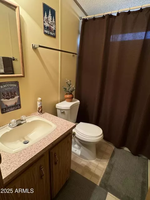 3050 Chevelon Rd, Overgaard, AZ 85933 photo 18