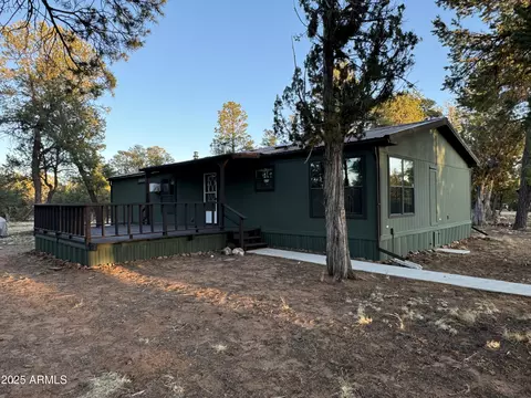 3050 Chevelon Rd, Overgaard, AZ 85933 photo 42